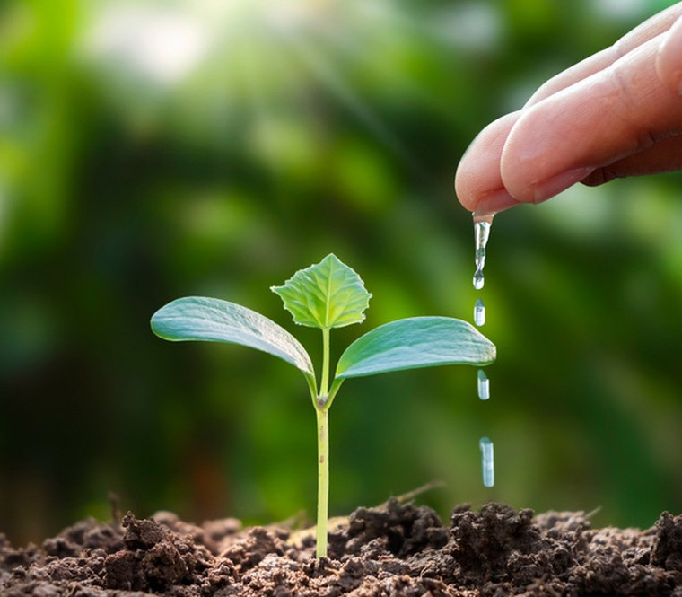 抖圈(中国区)人生就是搏!